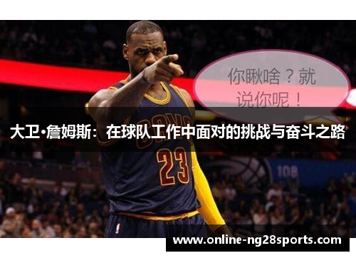 大卫·詹姆斯：在球队工作中面对的挑战与奋斗之路
